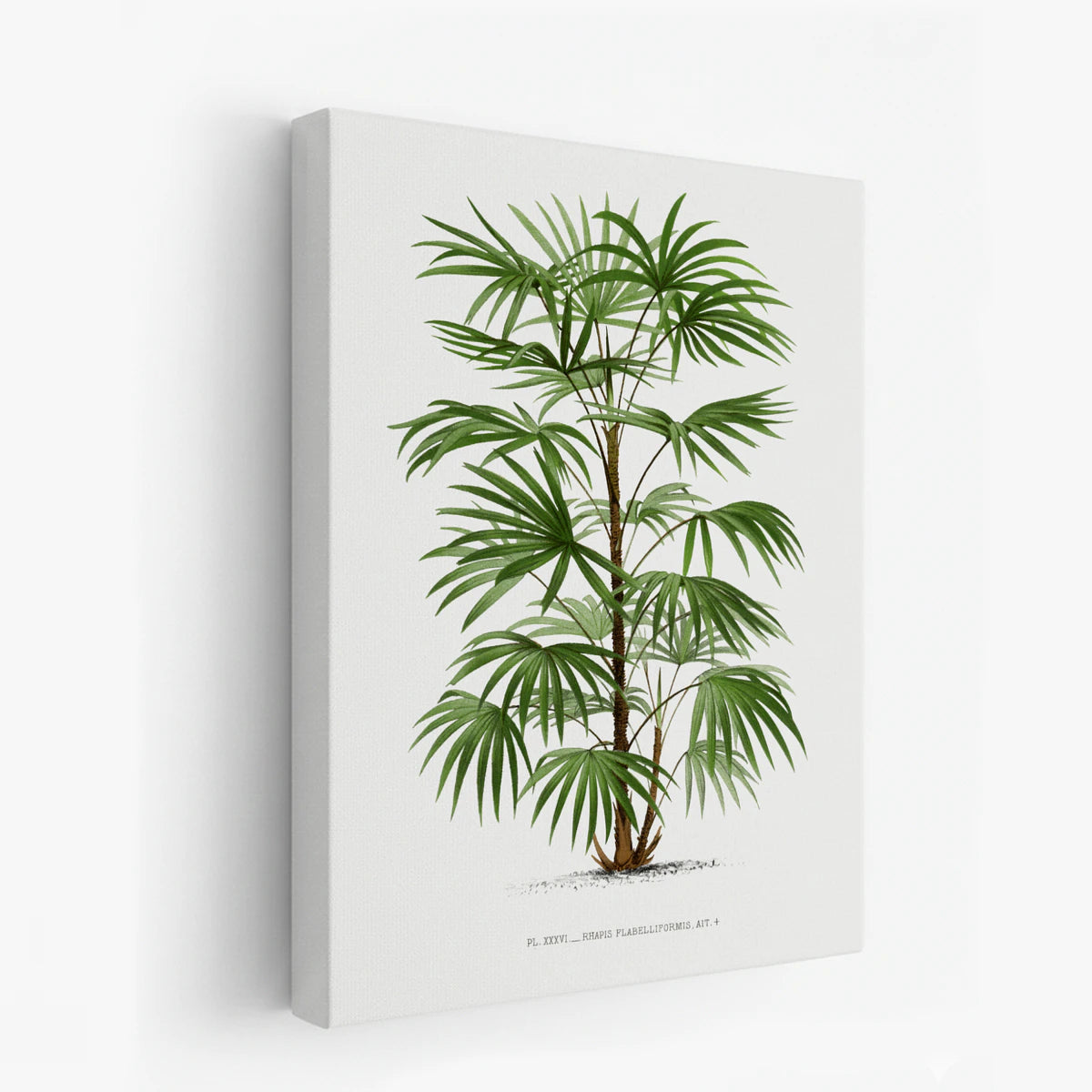 canvas-art