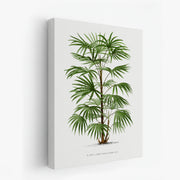 canvas-art