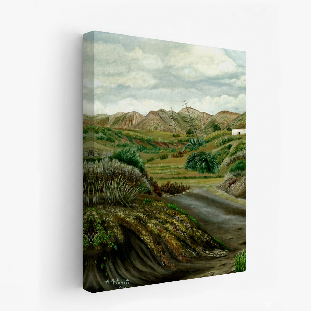 canvas-art