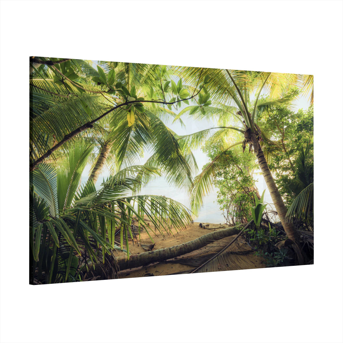 acrylic