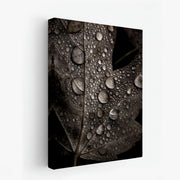 canvas-art