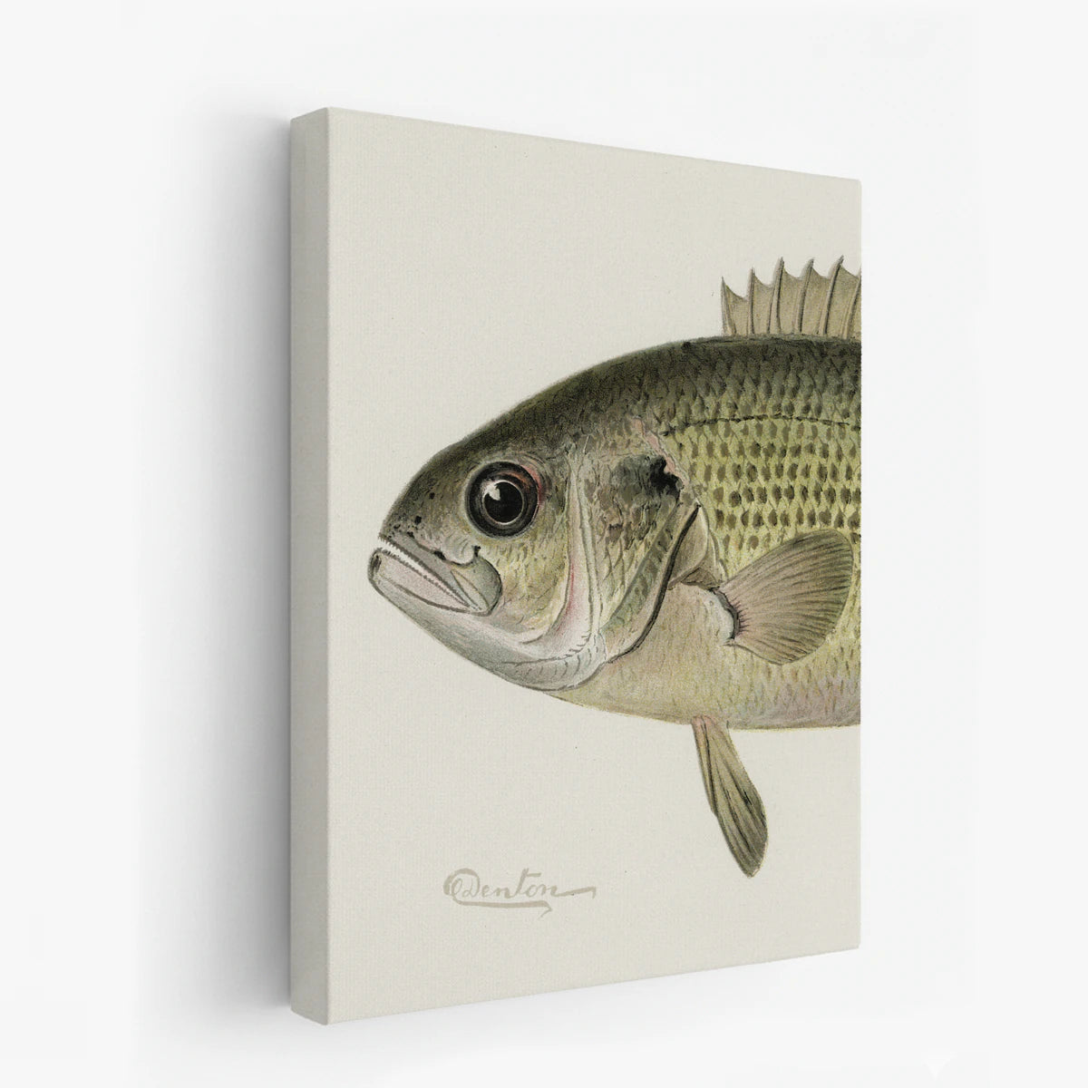 canvas-art