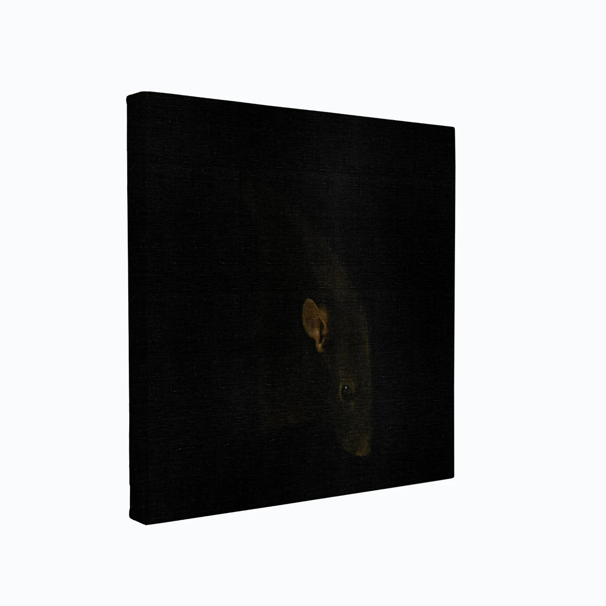 canvas-art