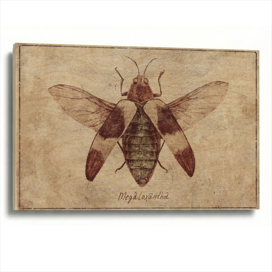 wood