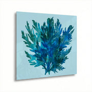acrylic
