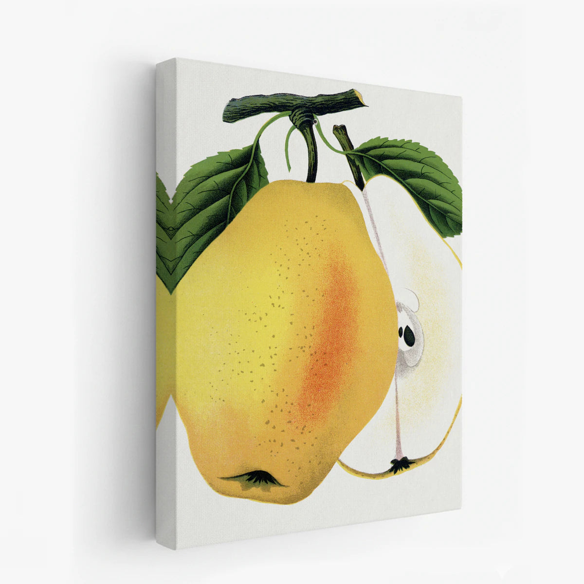 canvas-art