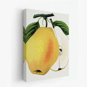 canvas-art
