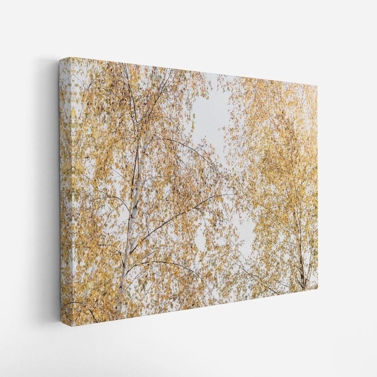 canvas-art