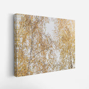 canvas-art