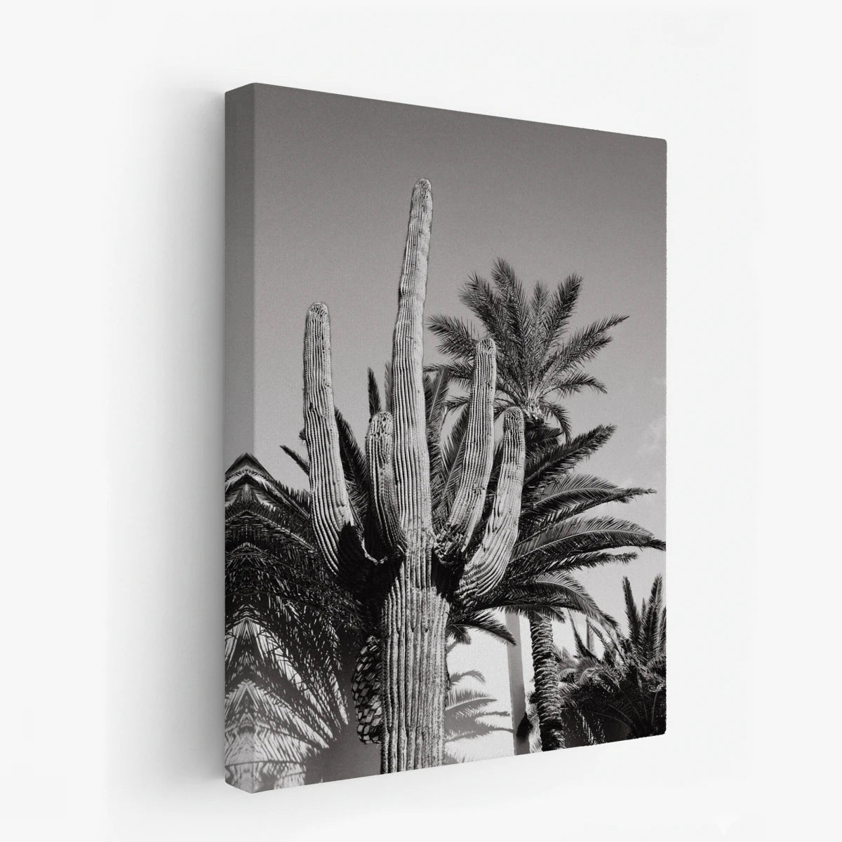 canvas-art