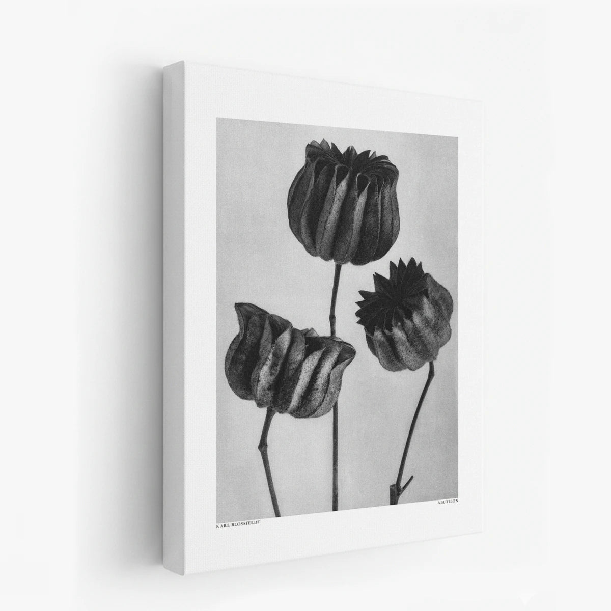 canvas-art
