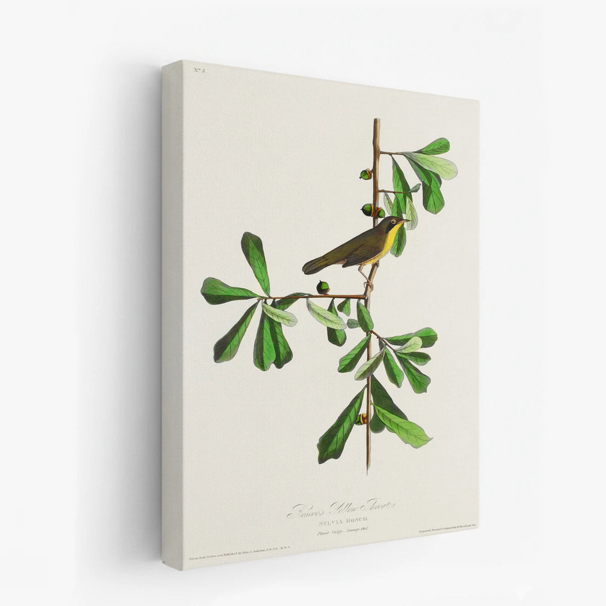 canvas-art