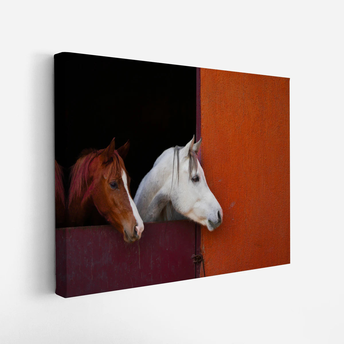 canvas-art