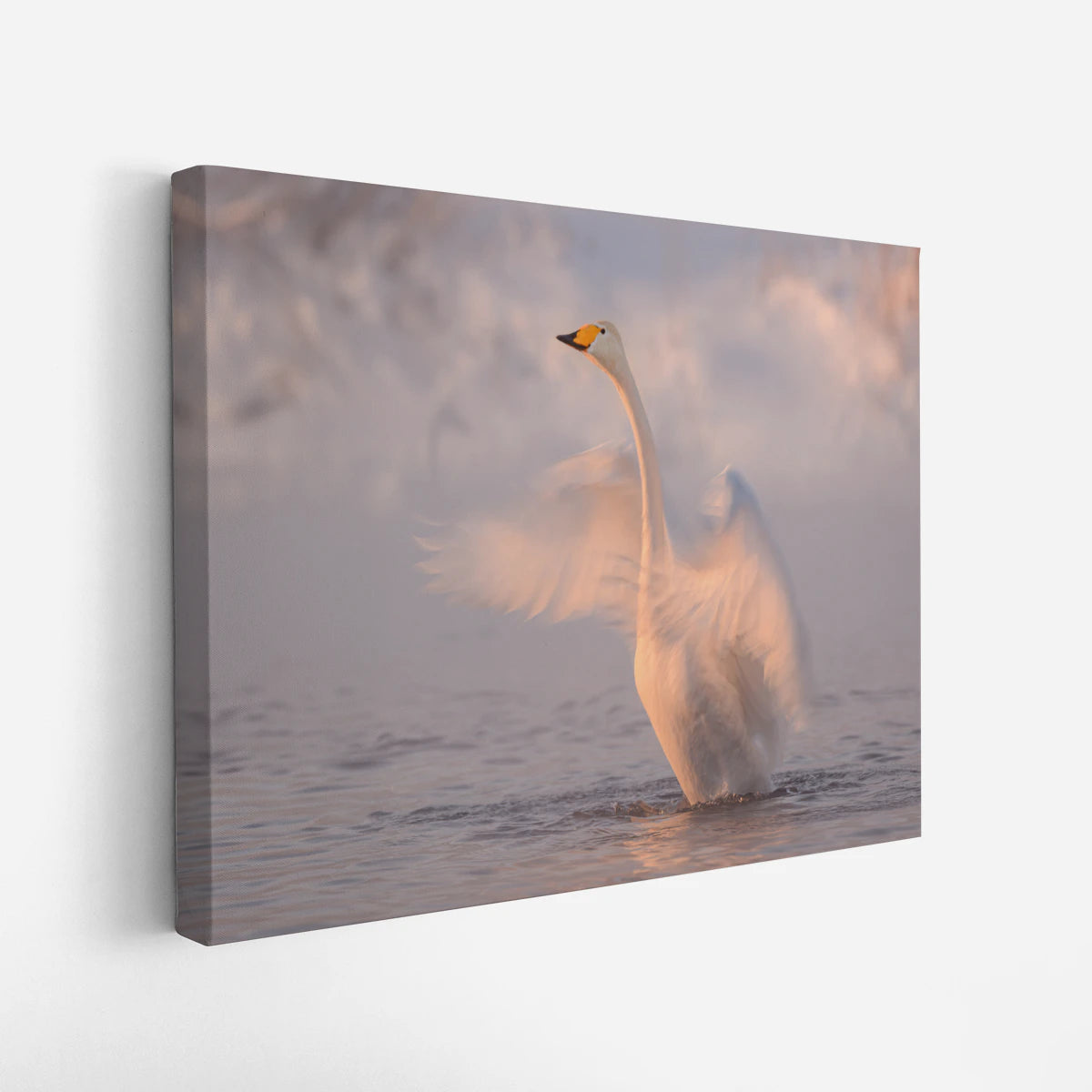 canvas-art