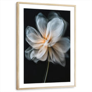 framed-print-natural-wood-matted