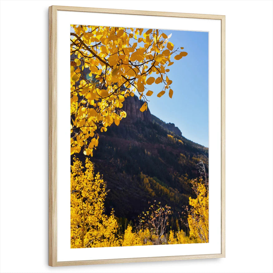 framed-print-natural-wood-matted