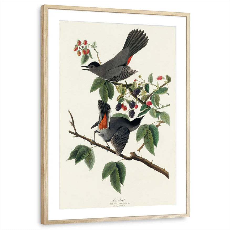 framed-print-natural-wood-matted
