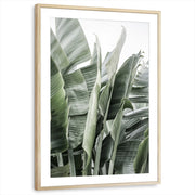 framed-print-natural-wood-matted