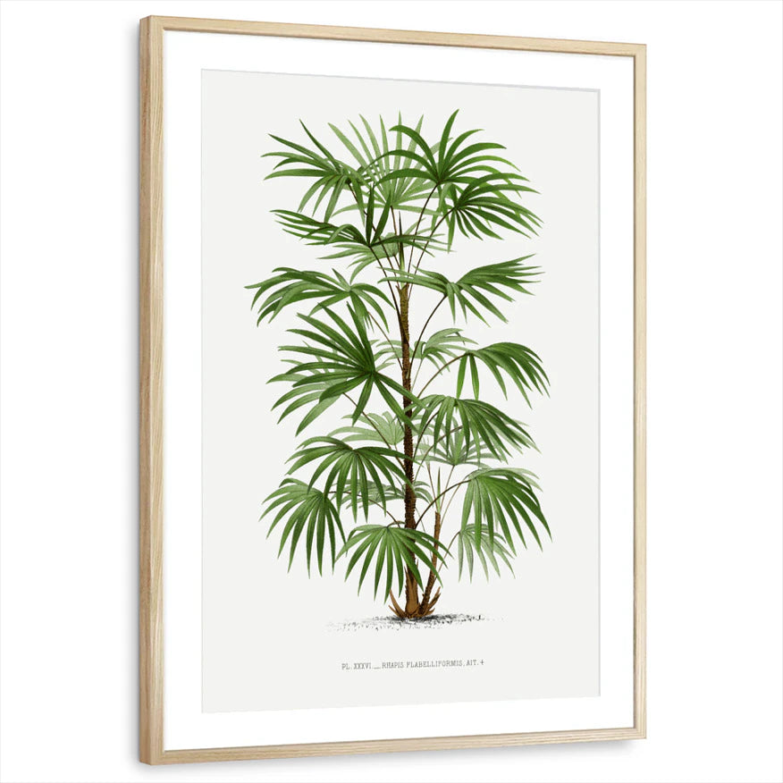 framed-print-natural-wood-matted