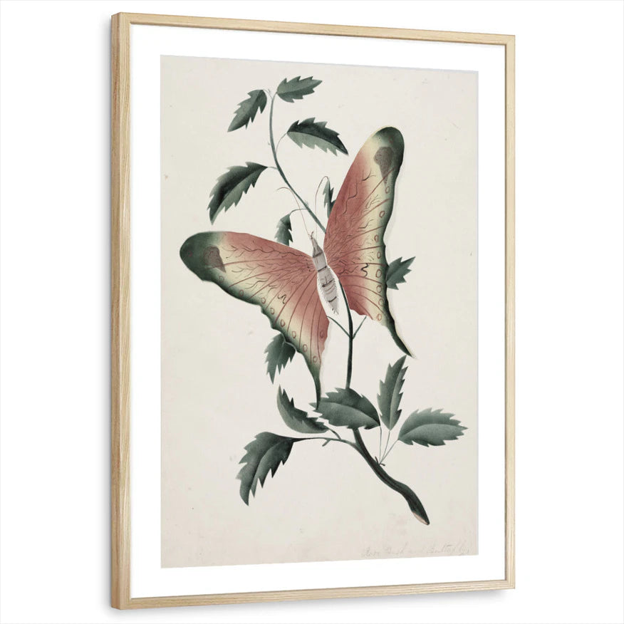 framed-print-natural-wood-matted