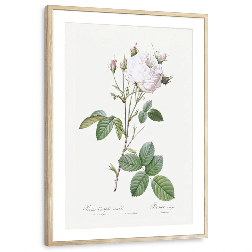 framed-print-natural-wood-matted