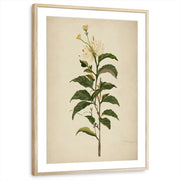 framed-print-natural-wood-matted
