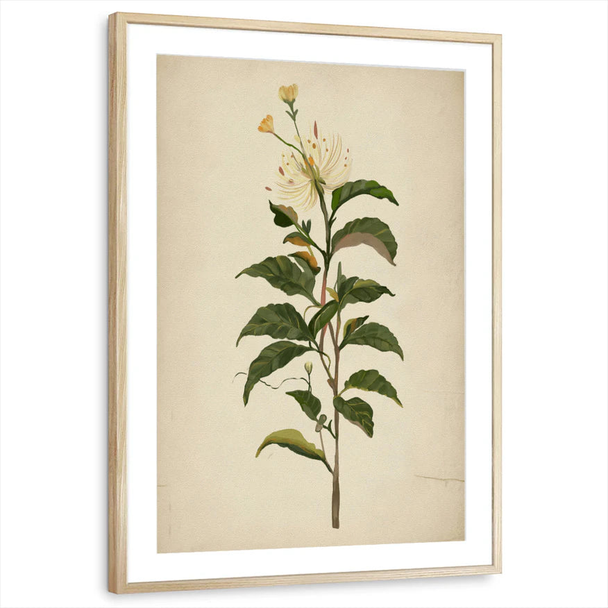 framed-print-natural-wood-matted