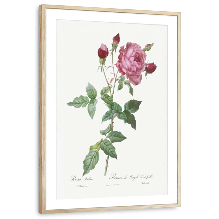 framed-print-natural-wood-matted