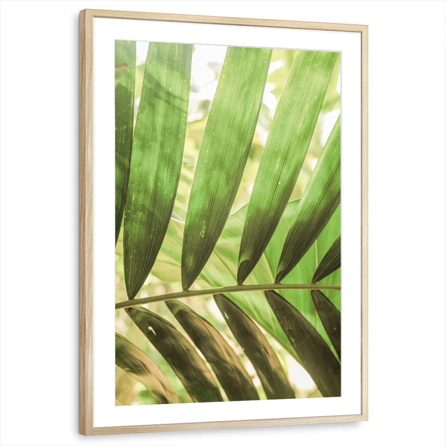 framed-print-natural-wood-matted