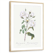 framed-print-natural-wood-matted