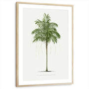framed-print-natural-wood-matted