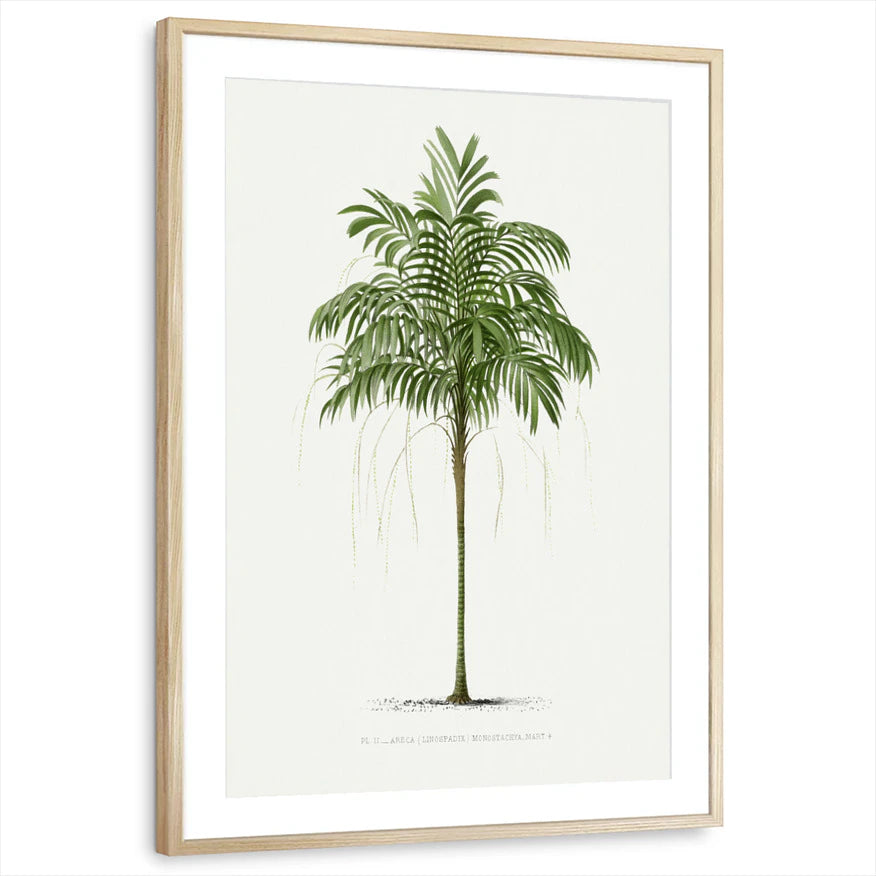framed-print-natural-wood-matted