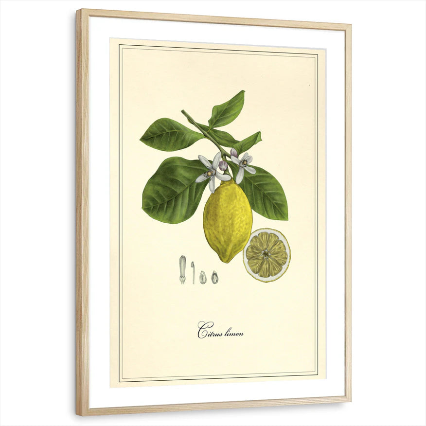 framed-print-natural-wood-matted