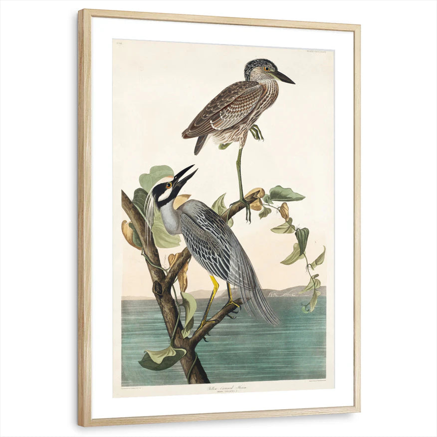 framed-print-natural-wood-matted