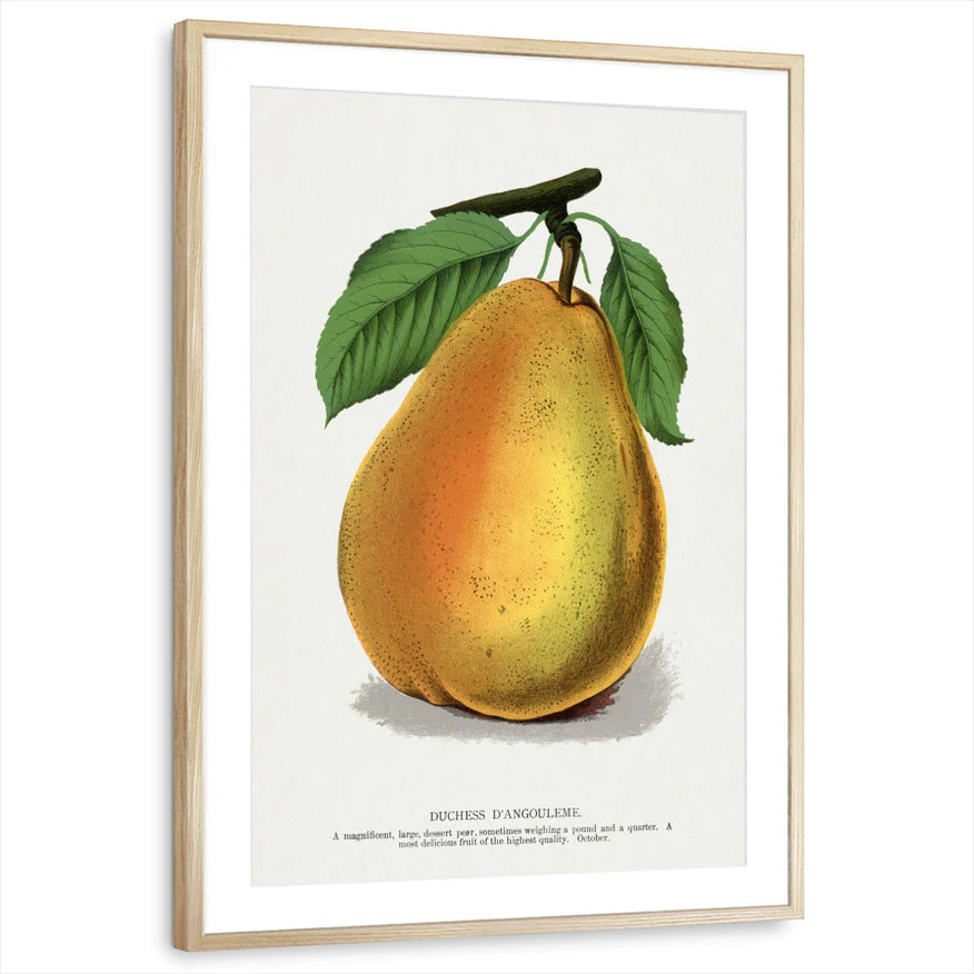 framed-print-natural-wood-matted