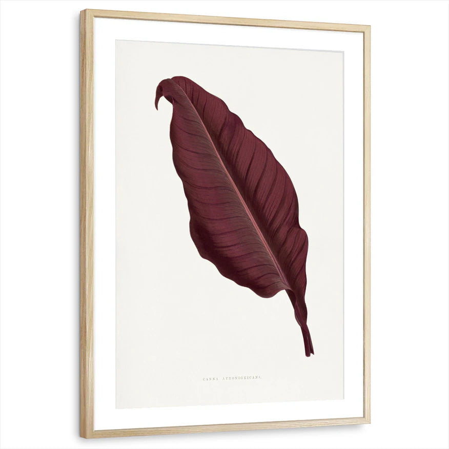 framed-print-natural-wood-matted