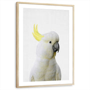 framed-print-natural-wood-matted