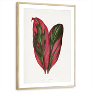 framed-print-natural-wood-matted