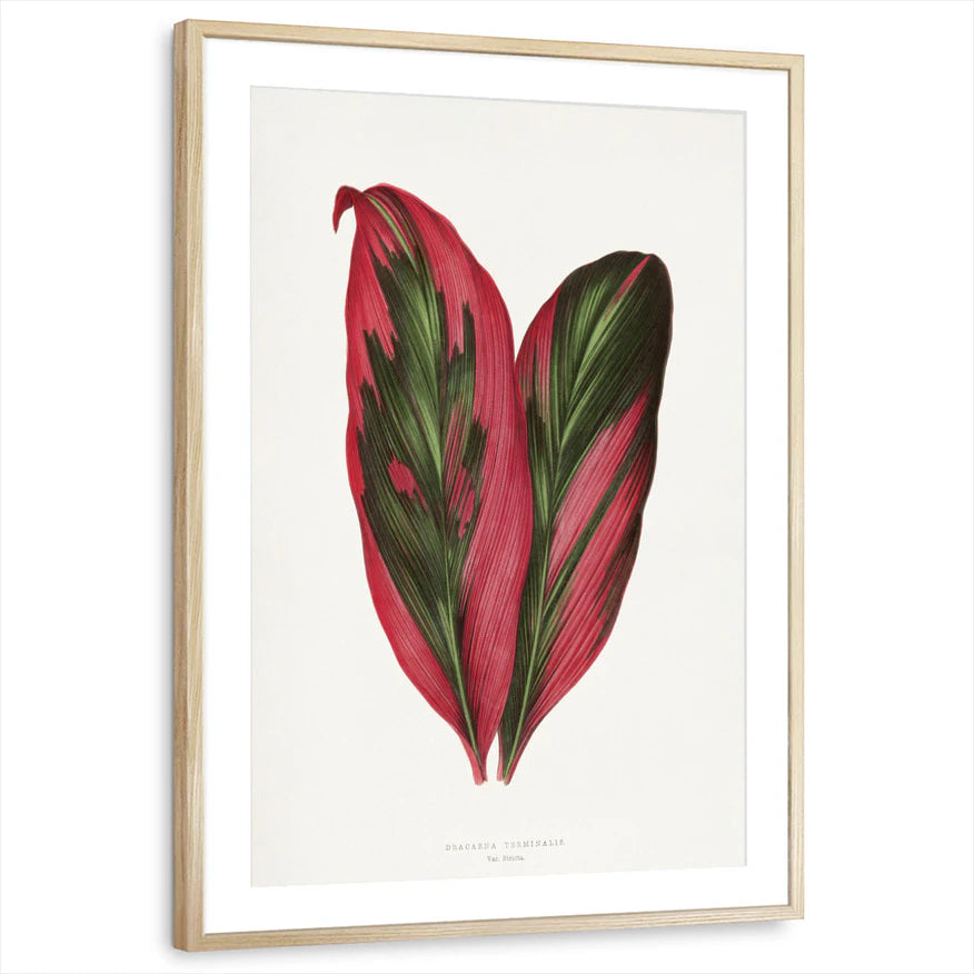 framed-print-natural-wood-matted