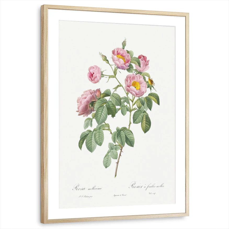 framed-print-natural-wood-matted