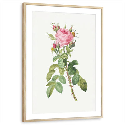 framed-print-natural-wood-matted
