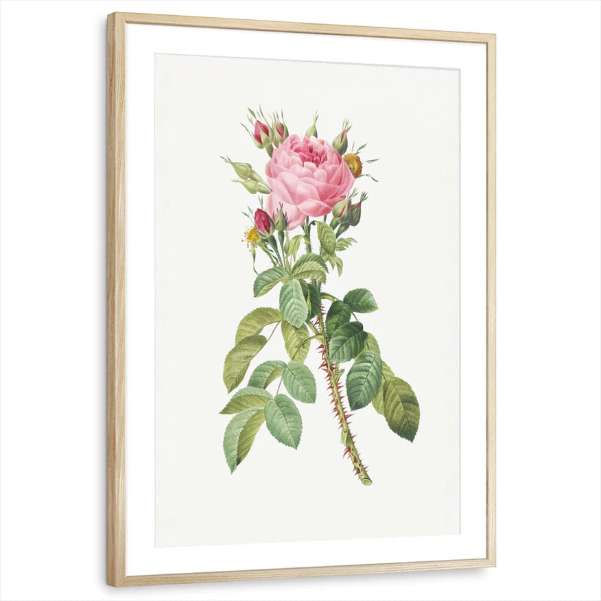framed-print-natural-wood-matted