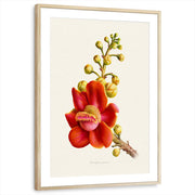 framed-print-natural-wood-matted