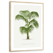 framed-print-natural-wood-matted