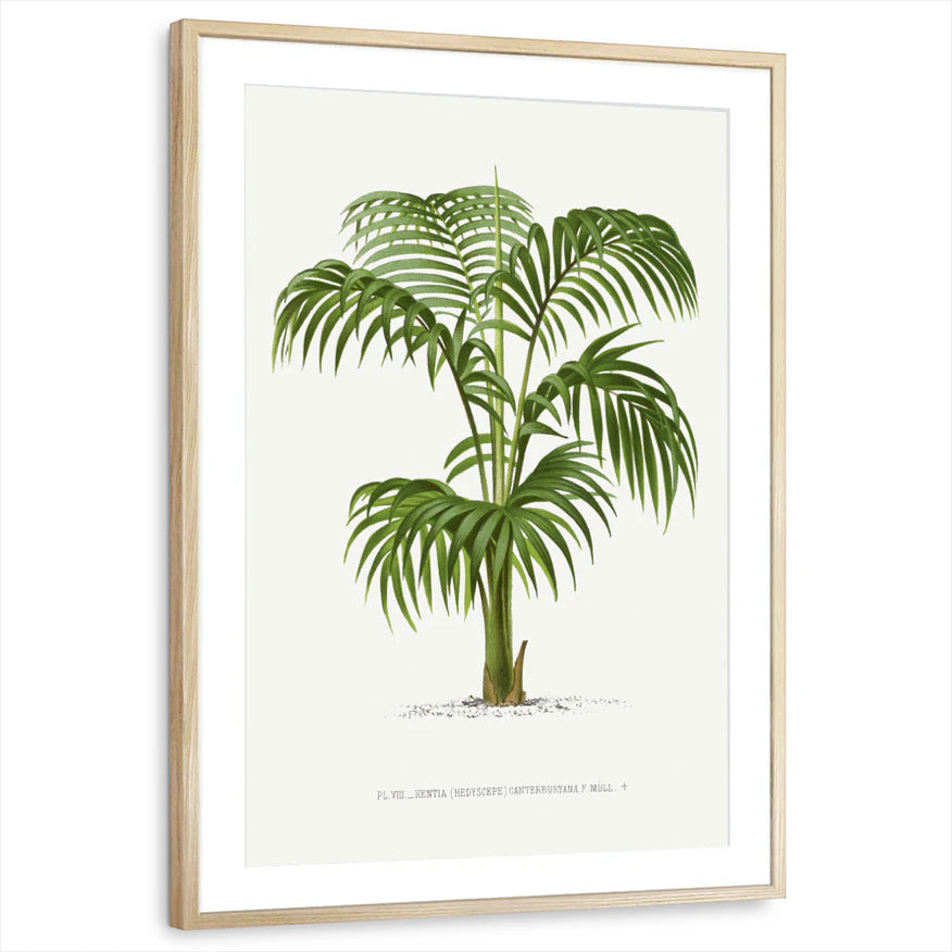 framed-print-natural-wood-matted
