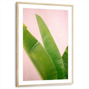 framed-print-natural-wood-matted