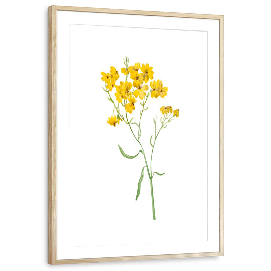 framed-print-natural-wood-matted