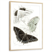 framed-print-natural-wood-matted