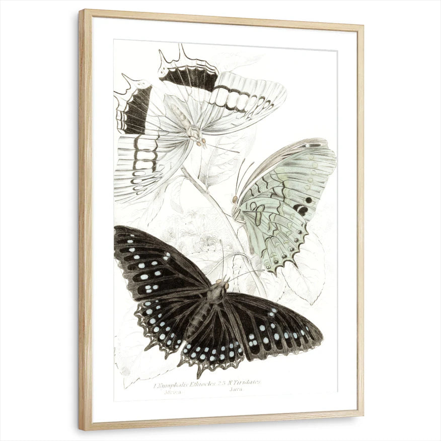 framed-print-natural-wood-matted