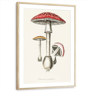 framed-print-natural-wood-matted